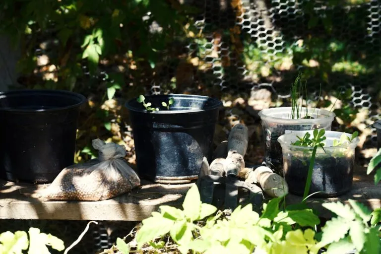 Cum să Te Relaxazi prin Activități de Grădinărit Photo Gardening tools