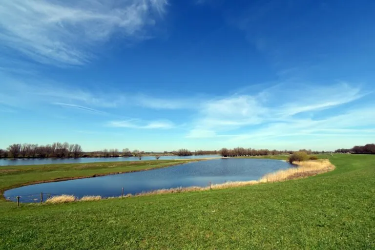 Destinații naturale de vis pentru pasionații de natură Photo Nature Reserve