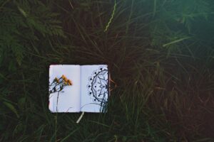 Photo dream journal