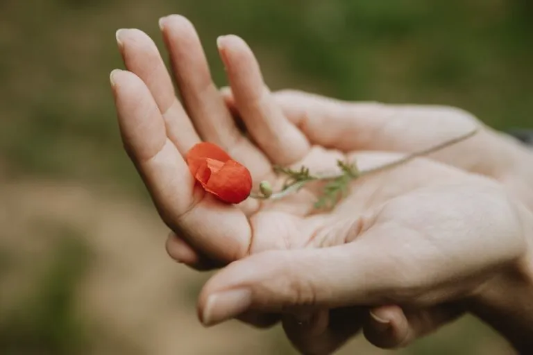 Cum să cultivi recunoștința: Jurnalul dimineții Photo cultivating gratitude