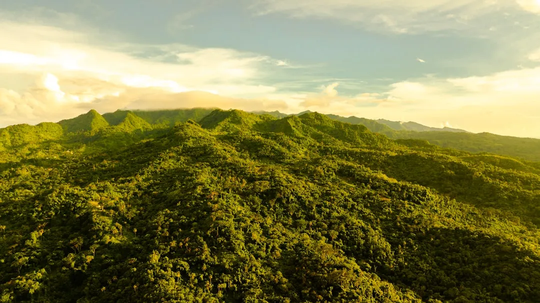 Photo reduce carbon footprint