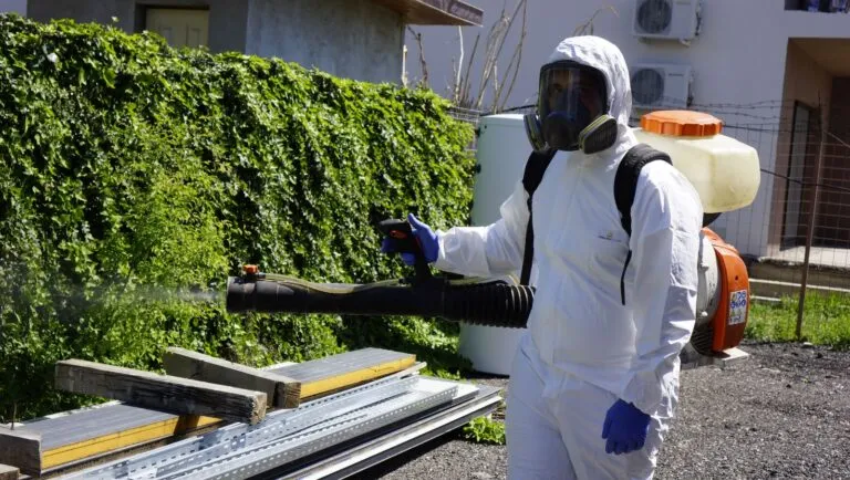 Ploșnițe și copii mici: de ce un tratament ploșnițe non-toxic contează pentru toată familia Ploșnițe și copii mici: de ce un tratament ploșnițe non-toxic contează pentru toată familia
