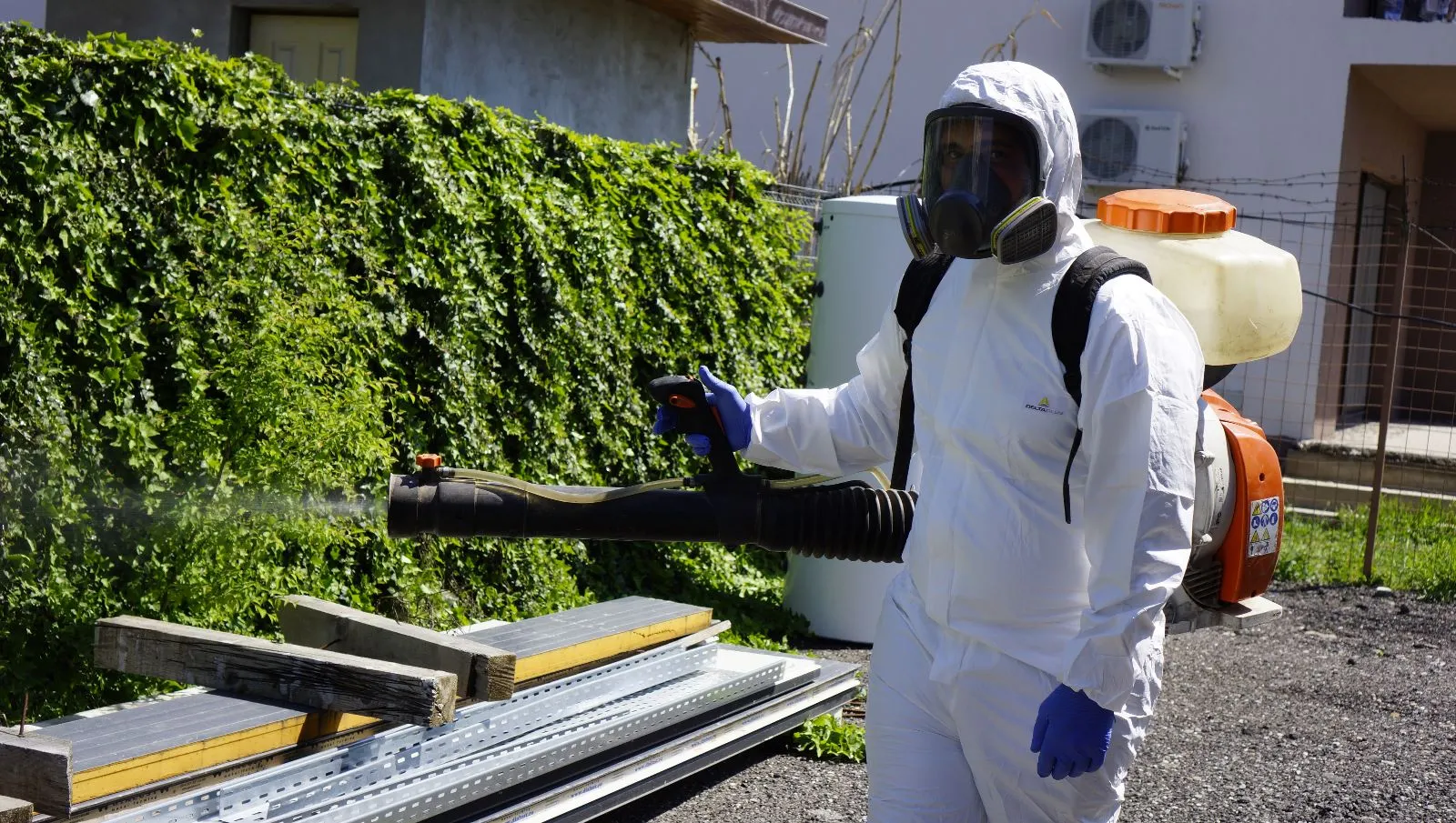Ploșnițe și copii mici: de ce un tratament ploșnițe non-toxic contează pentru toată familia