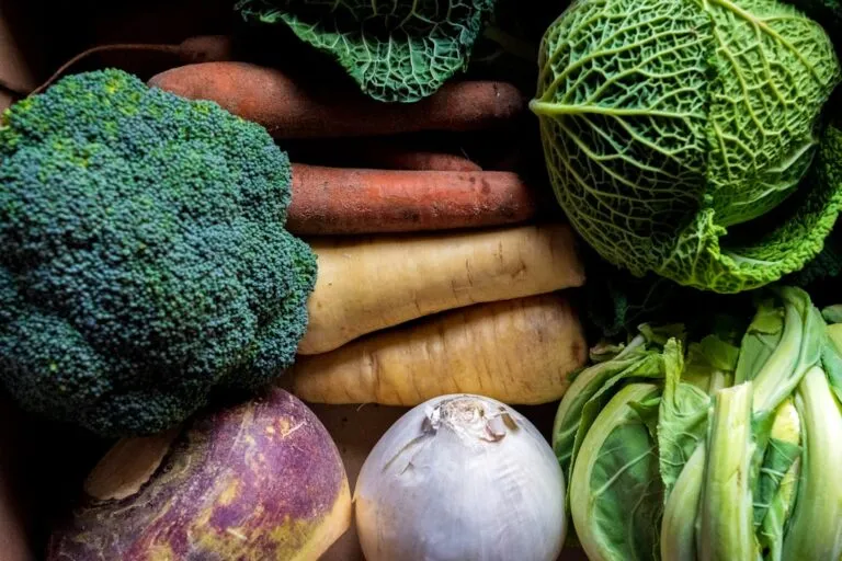Photo seasonal vegetables