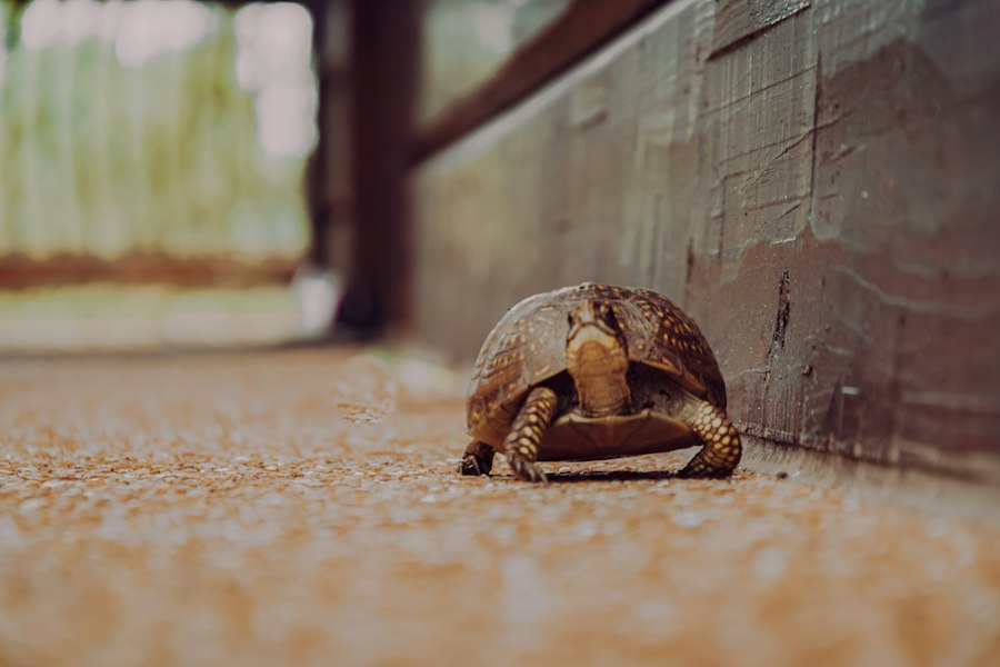 slow down
