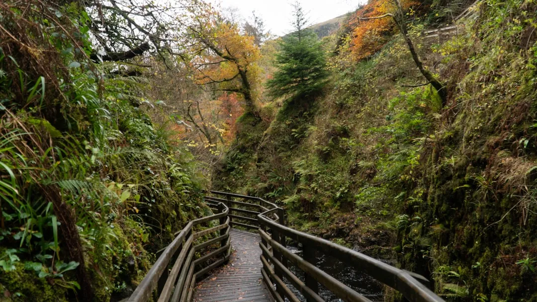 Photo nature walks