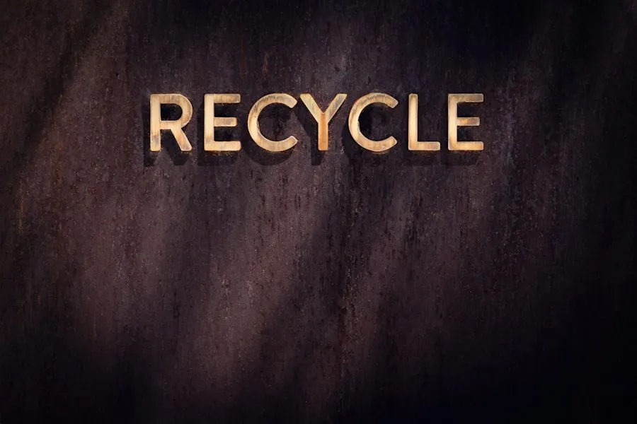 recycling guide infographic
