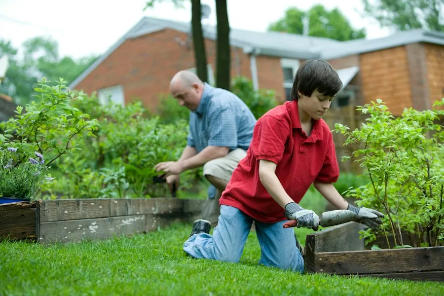 neighbor assistance support