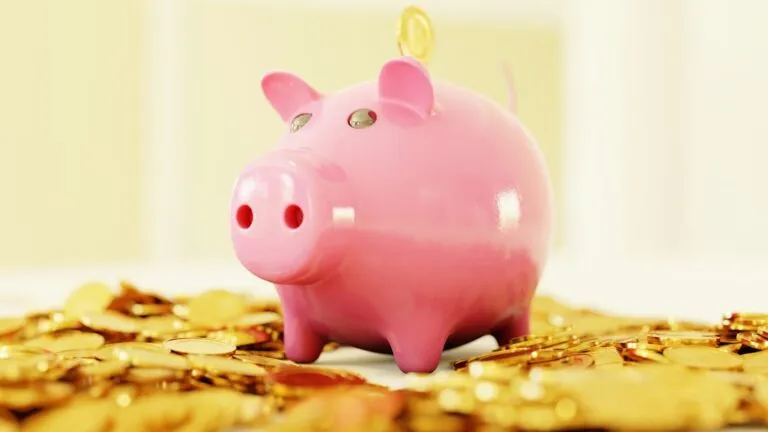 Tot ce trebuie să știi despre economisirea banilor Photo money saving tips
